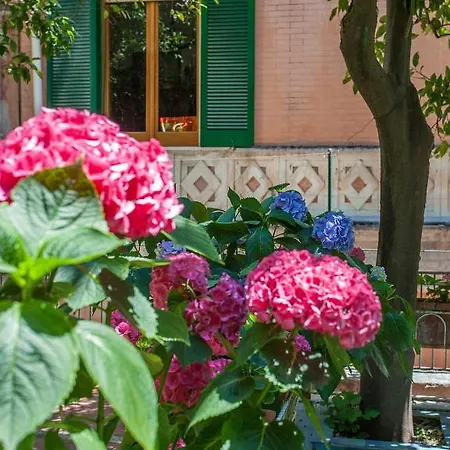 Отель Hotel Amalfi 3*